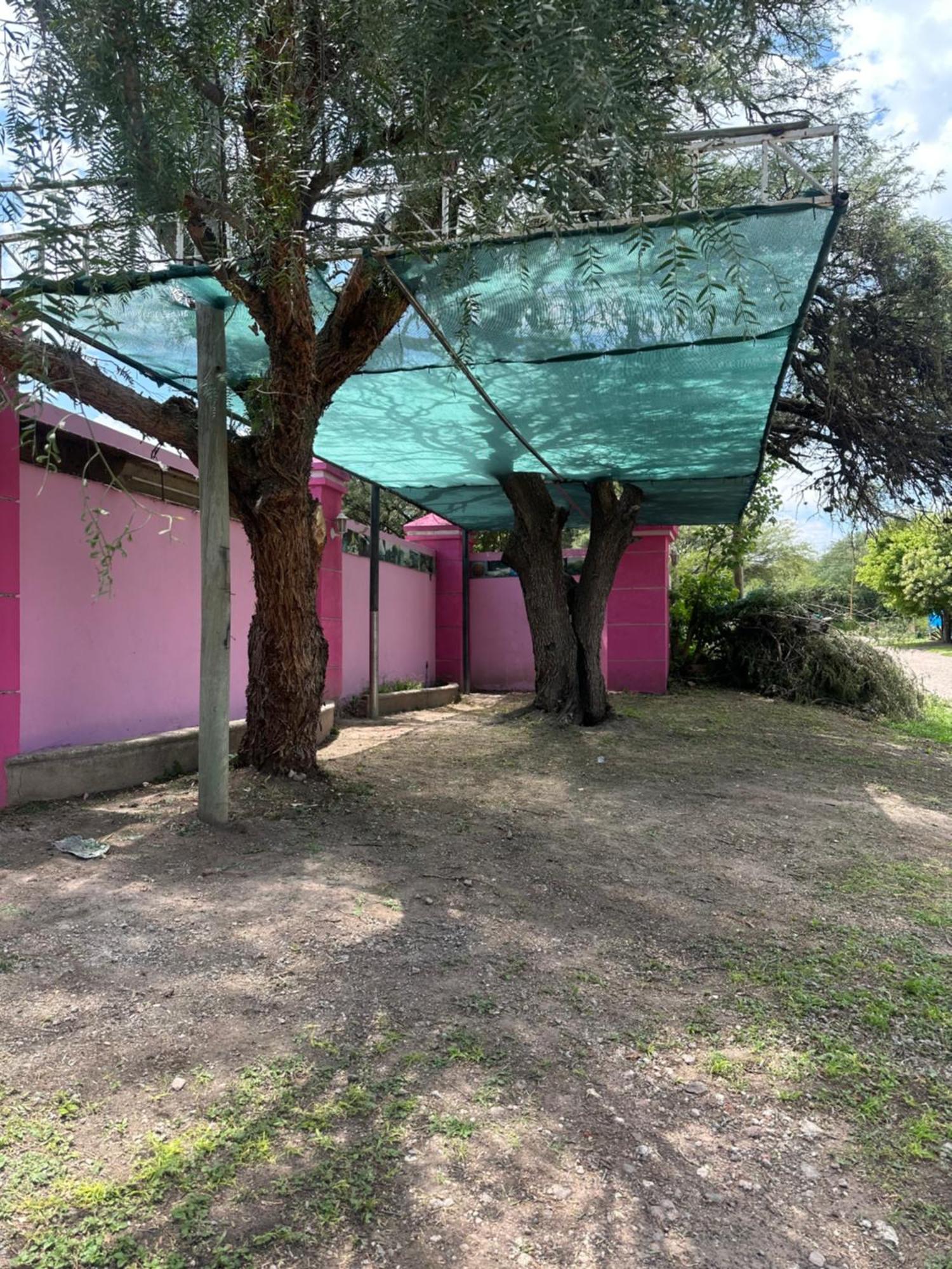 Cabanas & Apart Yki Shamuaika กาปียาเดลมอนเต ภายนอก รูปภาพ